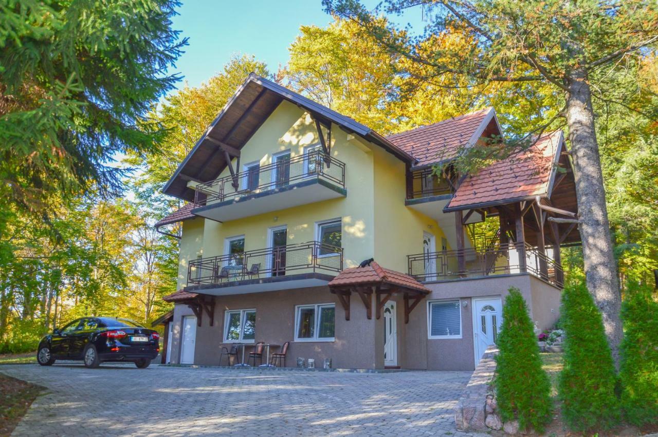 Vila Savinka Zlatibor Exterior photo